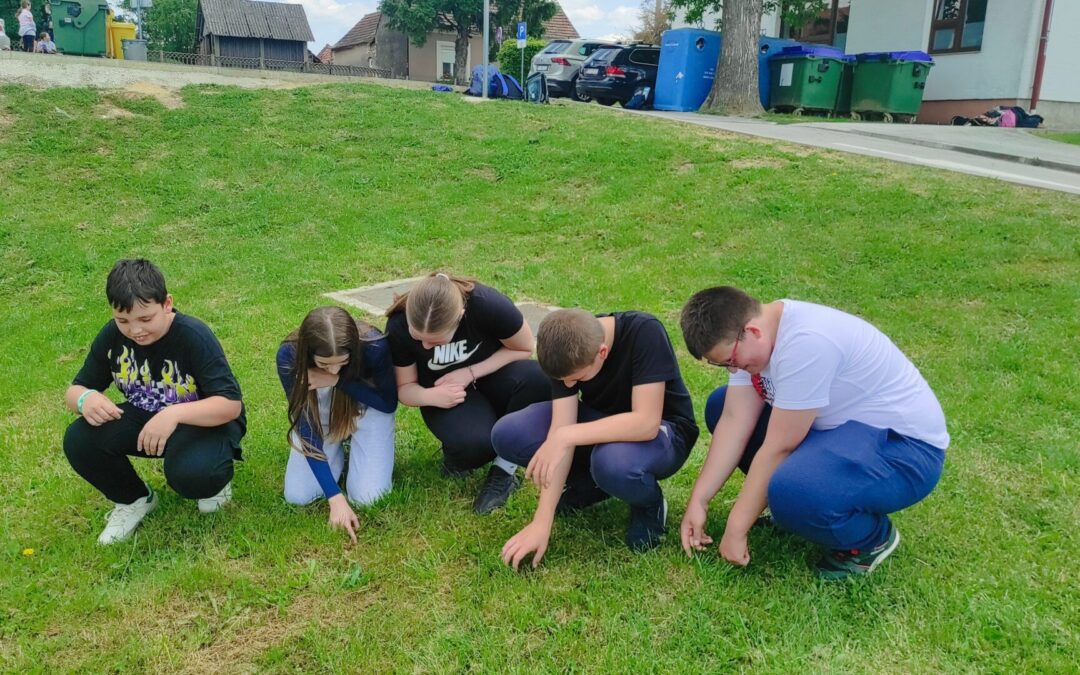 Goosechase izazov: prepoznavanje biljaka i očuvanje bioraznolikosti