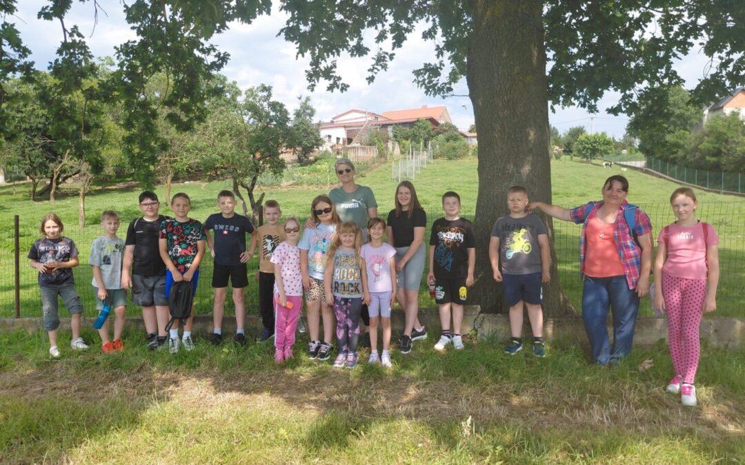 Šetam, upoznajem, volim svoj zavičaj!